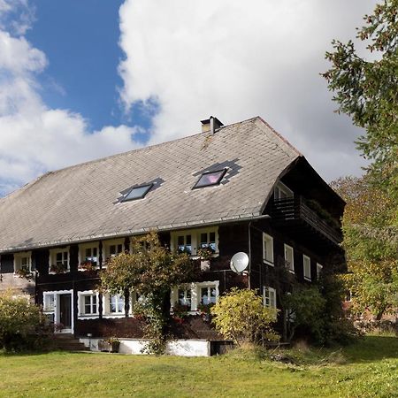 Waelder: Quartier Dachsberg Villa Dachsberg im Schwarzwald Exterior foto